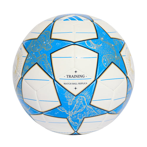 Blue and white soccer training ball, star panels, 'TRAINING' badge