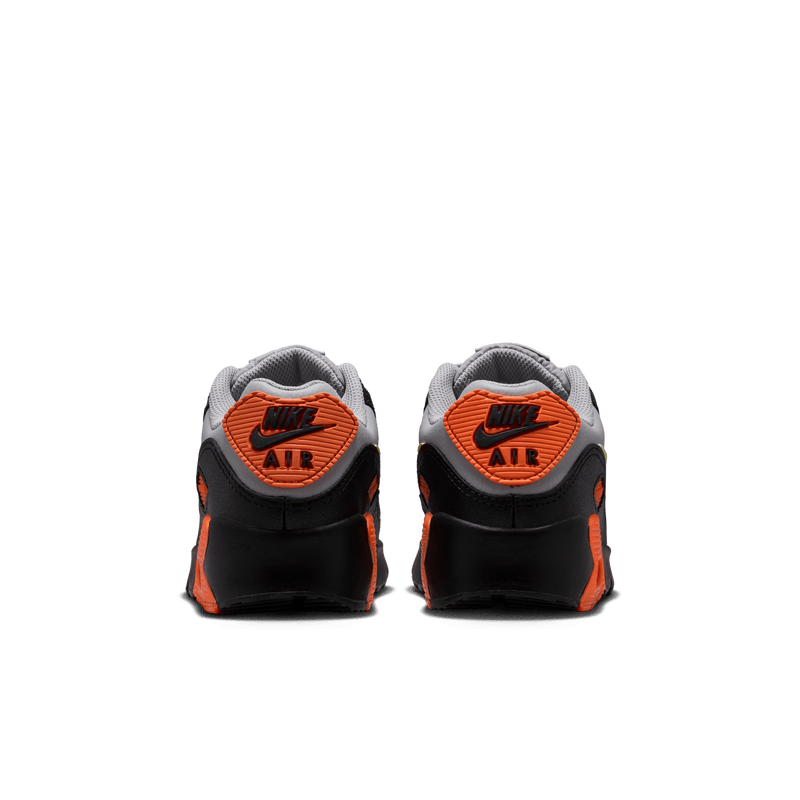 Big Kids’ Nike Air Max 90 LTR