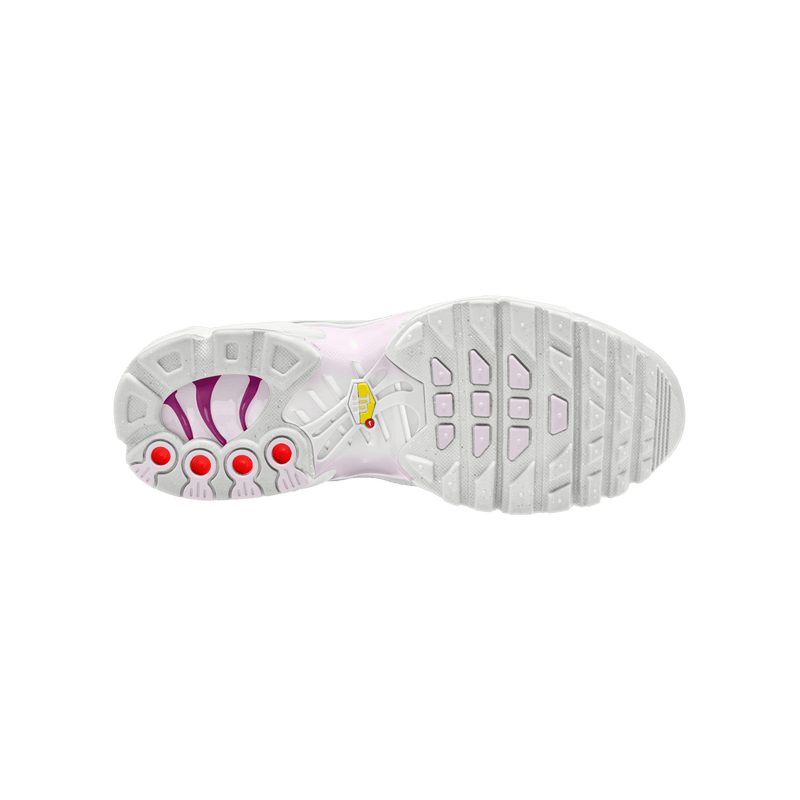 Big Kids' Nike Air Max Plus "Light Violet"