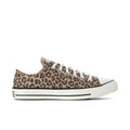 Leopard-print canvas low-top sneakers with lace-up, white rubber toe cap, dark sole