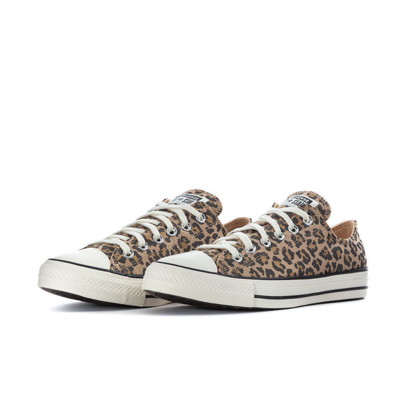 Leopard-print canvas low-top sneakers, front view with white laces and rubber toe caps