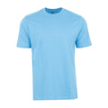 Men's crew neck T-shirt, light blue, short sleeves, straight hem.