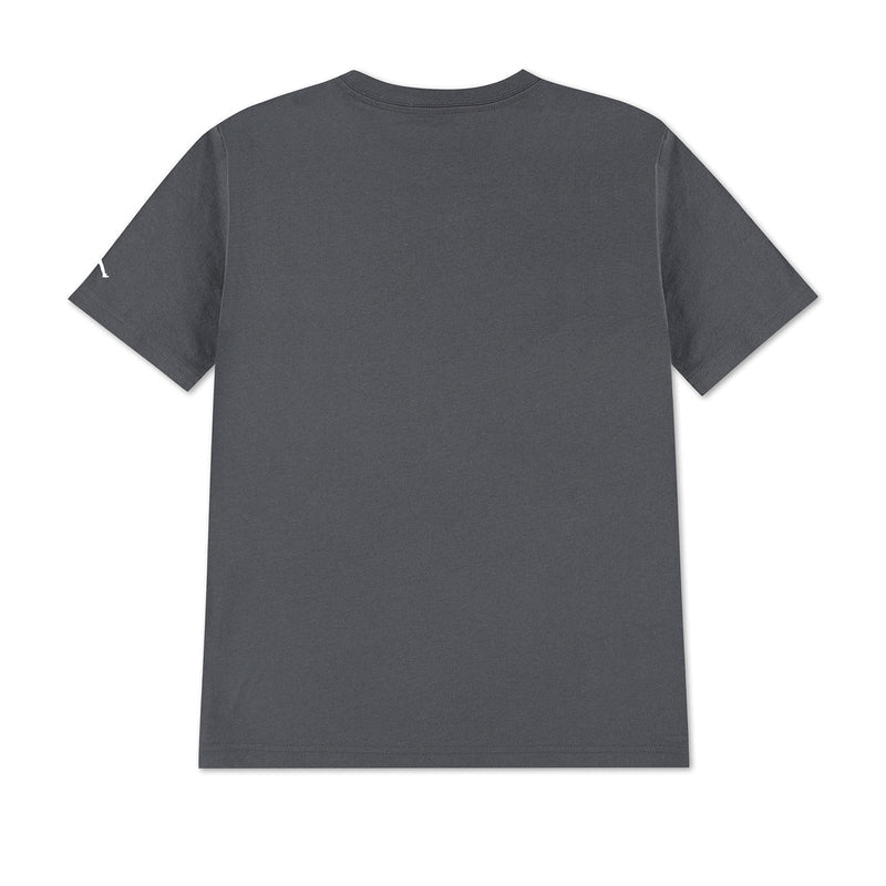 Youth iron grey T-shirt back view, plain and unprinted