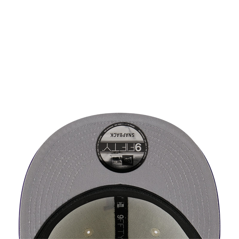 Two-tone baseball cap with textured crown and dark underbill, snapback back view.
