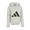 Youth fleece pullover hoodie in light alumina with large black logo on chest