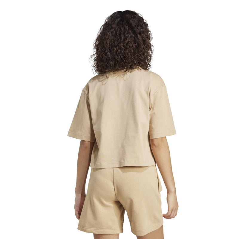 Warm sandstone womens tee from back view, short sleeves and curved hem