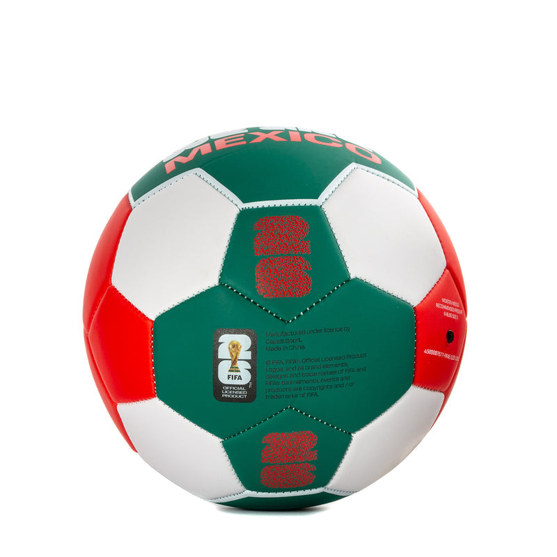 Mexico soccer ball back with FIFA label, green center panels, white panels and red sides