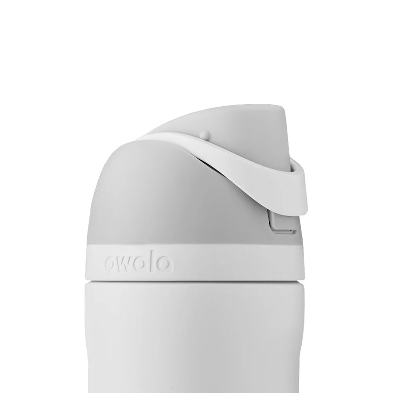 FreeSip 24 oz stainless steel bottle with carry loop handle, top latch closed.