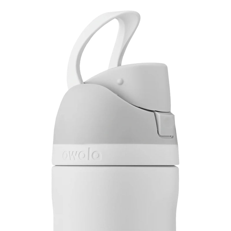 FreeSip 24 oz stainless steel bottle with carry loop handle and top latch detail.