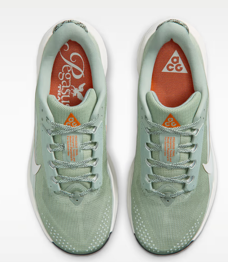 Men's ACG Pegasus Trail