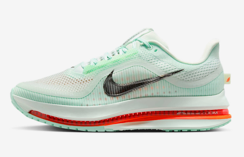 Men's Pegasus Premium