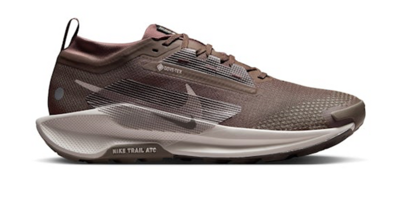 Men's Pegasus Trail 5 GTX (CLEARANCE)