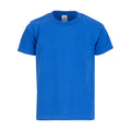 Youth solid crew neck T-shirt, royal blue, short sleeves