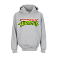 Youth heather grey hoodie with front Teenage Mutant Ninja Turtles graphic