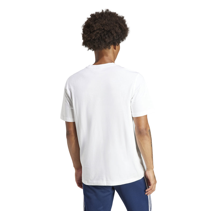 Men's white T-shirt back view, plain with no visible logo